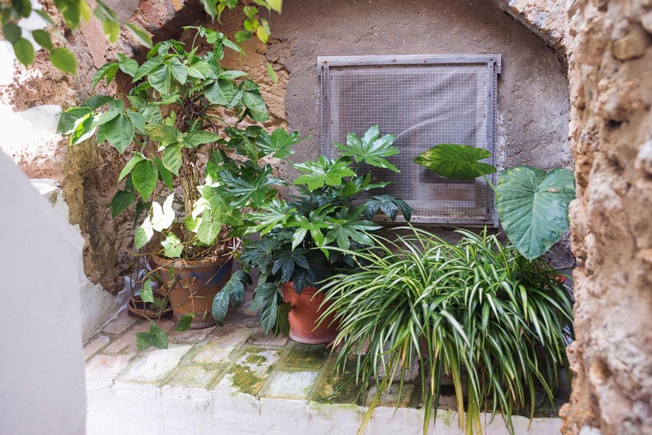 베예데라프론테라 Casa Lujan - Califa Casas Vejer 빌라 외부 사진